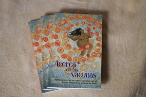 Acerca de las vacunas